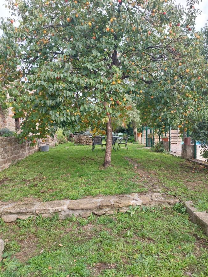 Saint-Florent-sur-Auzonnet Le Mas Du Galibot Chambre Cambalotte מראה חיצוני תמונה